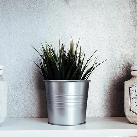 La Corte Di Silvia *