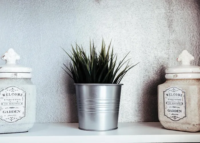 La Corte Di Silvia *